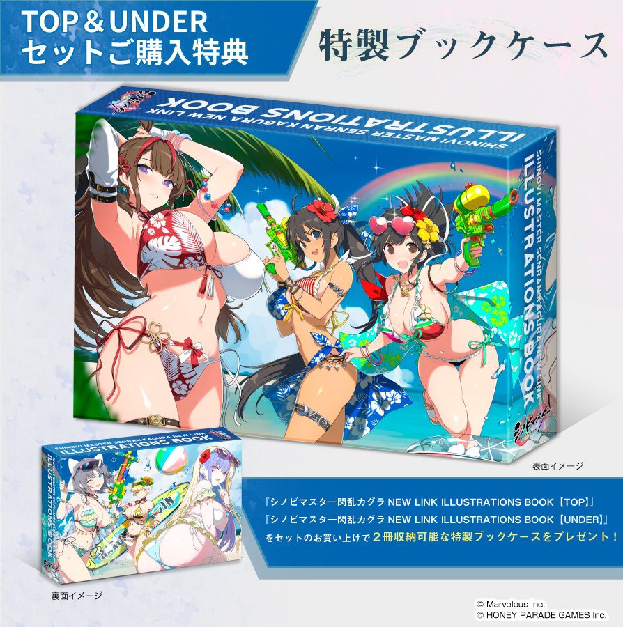 セット特典付き》シノビマスター 閃乱カグラ NEW LINK ILLUSTRATIONS