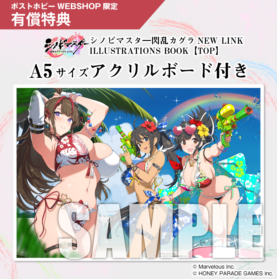 セット特典付き》シノビマスター 閃乱カグラ NEW LINK ILLUSTRATIONS