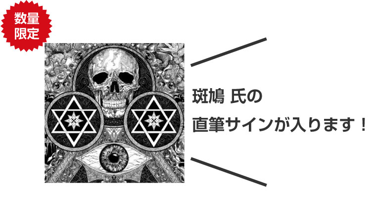 直筆サイン入り》終典 斑鳩-ikaruga-画集 | 9784798641522 | ポスト