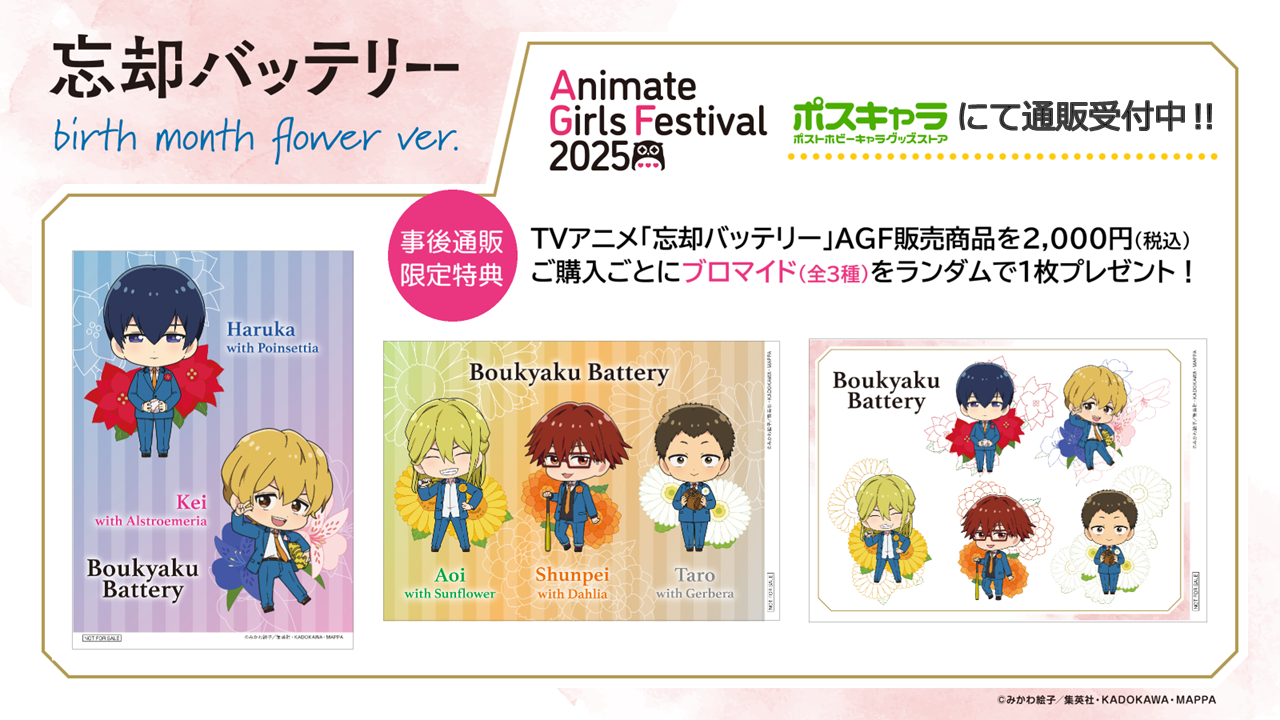 バッテリィズ　グッズ　まとめ売り フィッシング用品｜ワカサギ電動リール用バッテリー（2024-2025